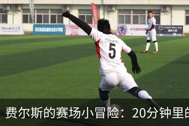 费尔斯的赛场小冒险：20分钟里的篮球奇遇记